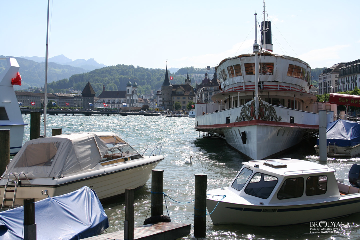 Lucerne